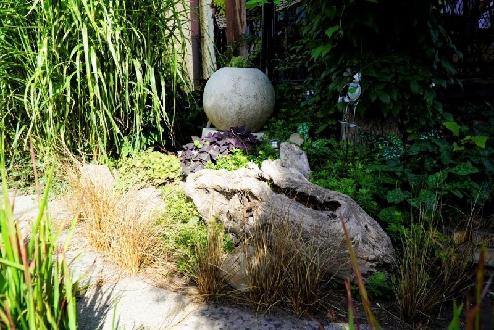 Zdjęcie w galerii na portalu naszraciborz.pl: Konkurs Zielono mi rozstrzygnięty wiadomości z regionu