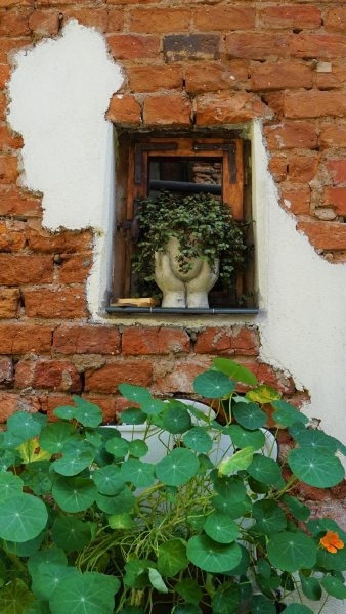 Zdjęcie w galerii na portalu naszraciborz.pl: Konkurs Zielono mi rozstrzygnięty wiadomości z regionu