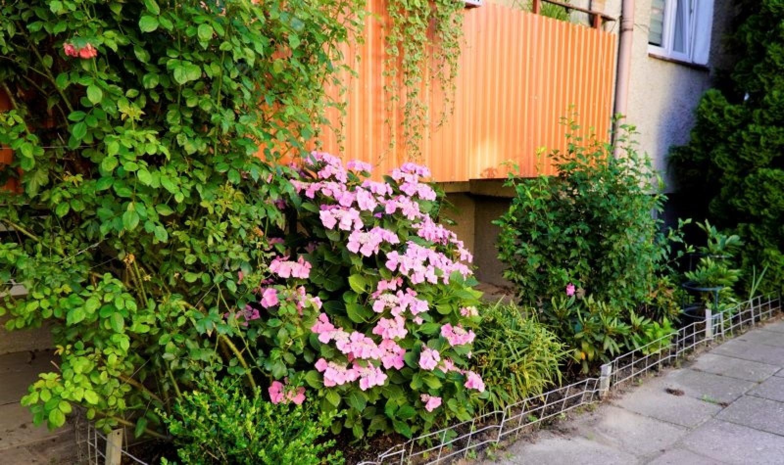 Zdjęcie w galerii na portalu naszraciborz.pl: Konkurs Zielono mi rozstrzygnięty wiadomości z regionu