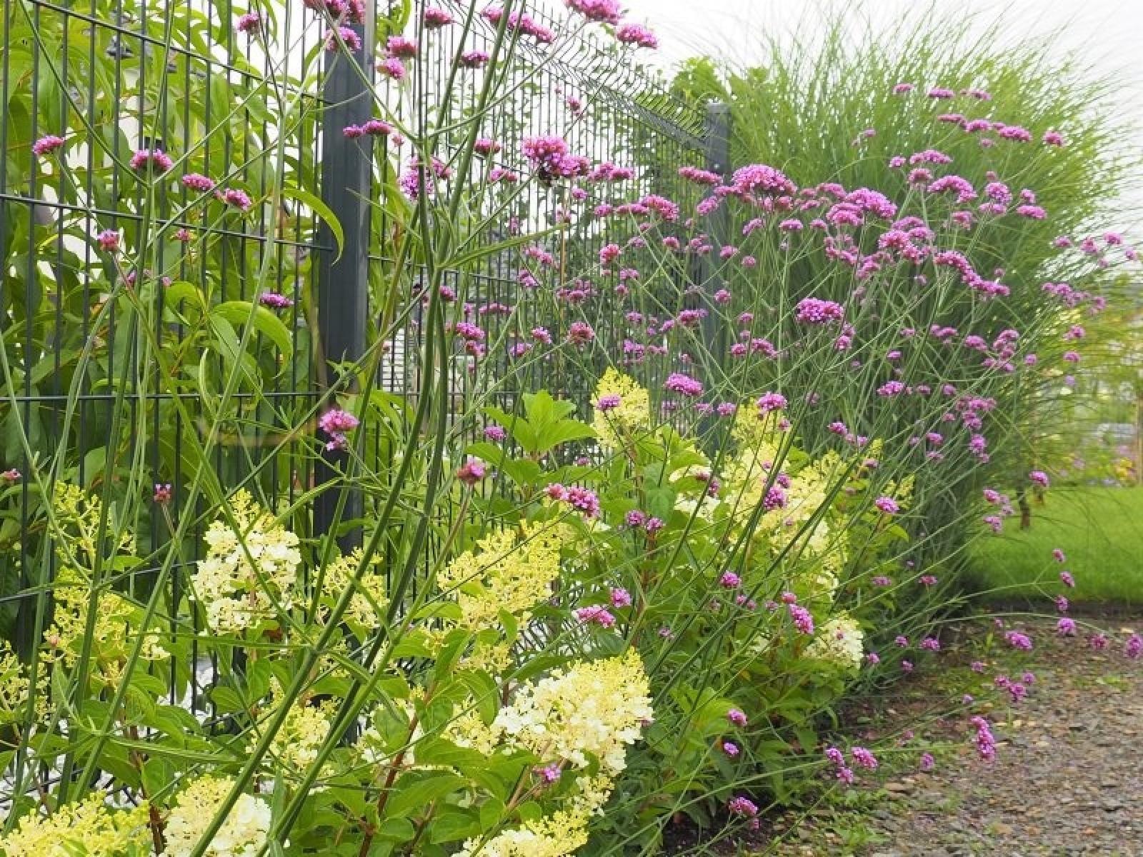 Zdjęcie w galerii na portalu naszraciborz.pl: Konkurs Zielono mi rozstrzygnięty wiadomości z regionu