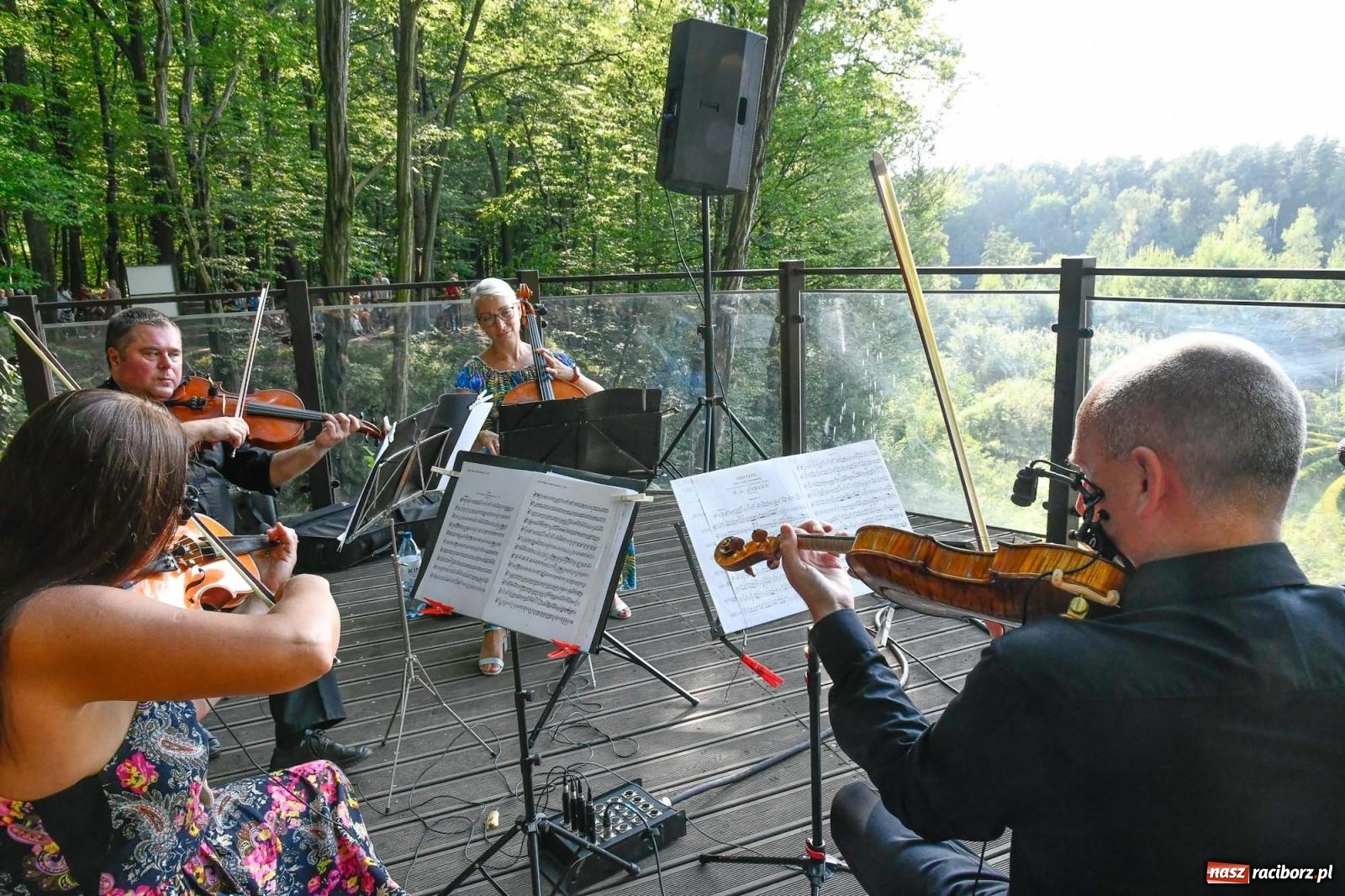 Zdjęcie w galerii na portalu naszraciborz.pl: Muzyka w Zaczarowanym Ogrodzie - ostatni koncert tego roku [FOTO i WIDEO] wiadomości z regionu