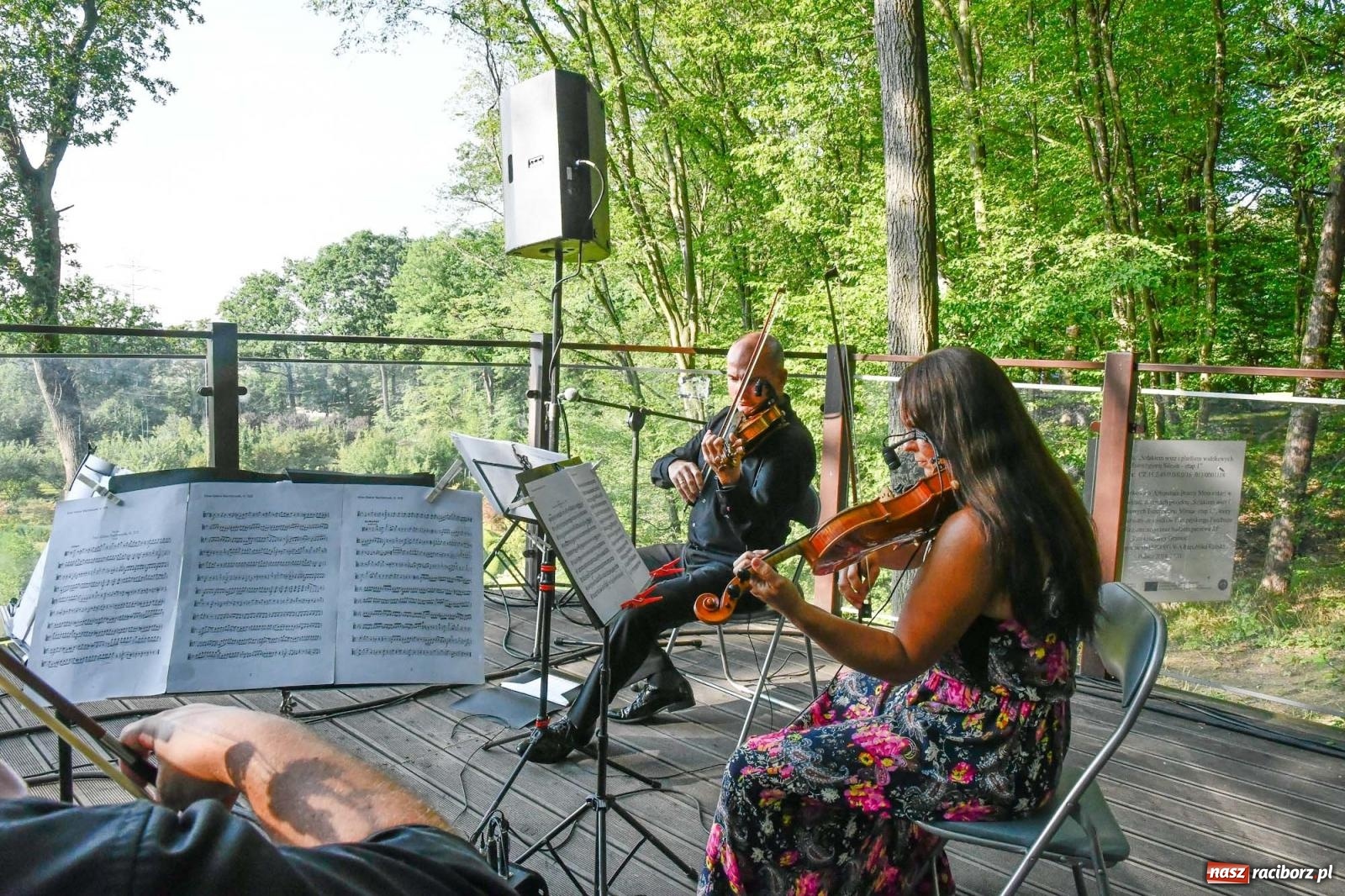Zdjęcie w galerii na portalu naszraciborz.pl: Muzyka w Zaczarowanym Ogrodzie - ostatni koncert tego roku [FOTO i WIDEO] wiadomości z regionu