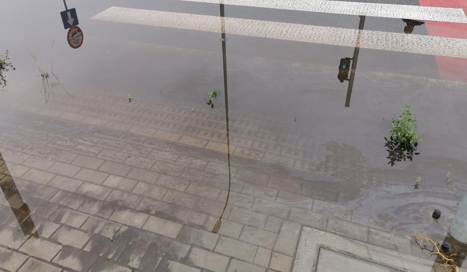 Zdjęcie w galerii na portalu naszraciborz.pl: Interwencja czytelnika. Wodne przejście na nowej obwodnicy [FOTO] wiadomości z regionu