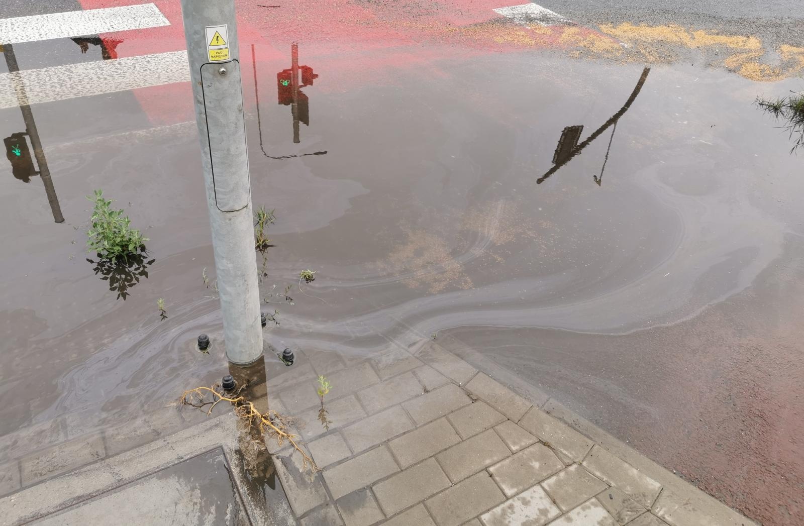 Zdjęcie w galerii na portalu naszraciborz.pl: Interwencja czytelnika. Wodne przejście na nowej obwodnicy [FOTO] wiadomości z regionu