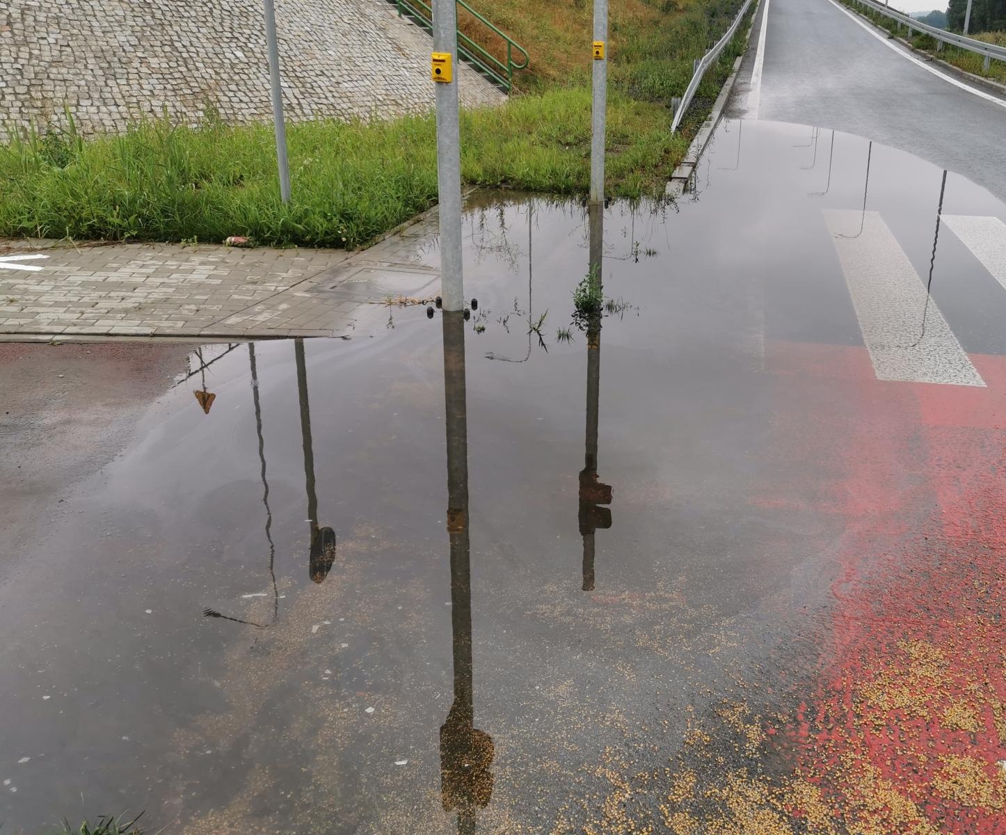 Zdjęcie w galerii na portalu naszraciborz.pl: Interwencja czytelnika. Wodne przejście na nowej obwodnicy [FOTO] wiadomości z regionu