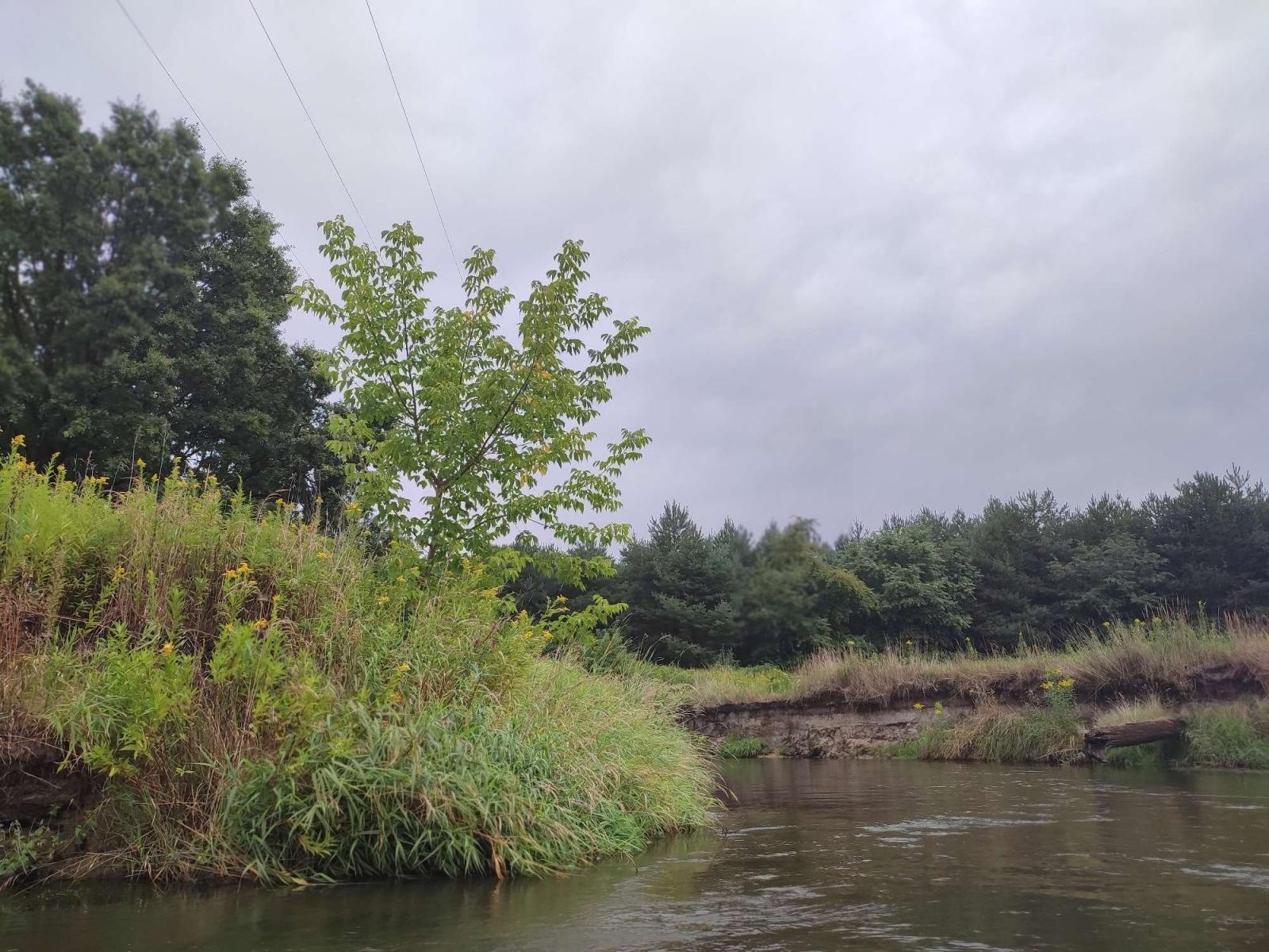 Zdjęcie w galerii na portalu naszraciborz.pl: Wakacje w powiecie - spływ rzeką Rudą [FOTO] wiadomości z regionu