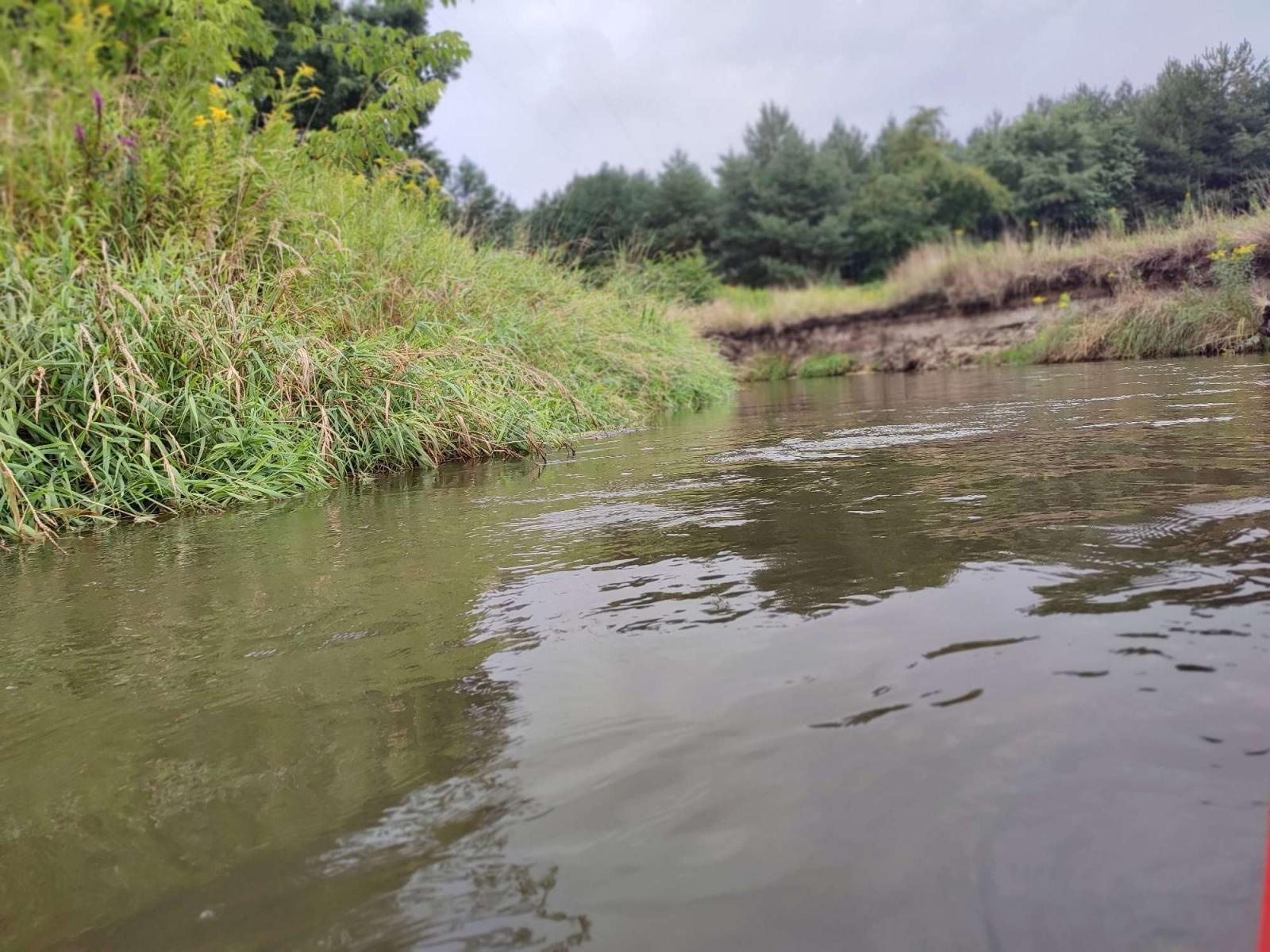 Zdjęcie w galerii na portalu naszraciborz.pl: Wakacje w powiecie - spływ rzeką Rudą [FOTO] wiadomości z regionu