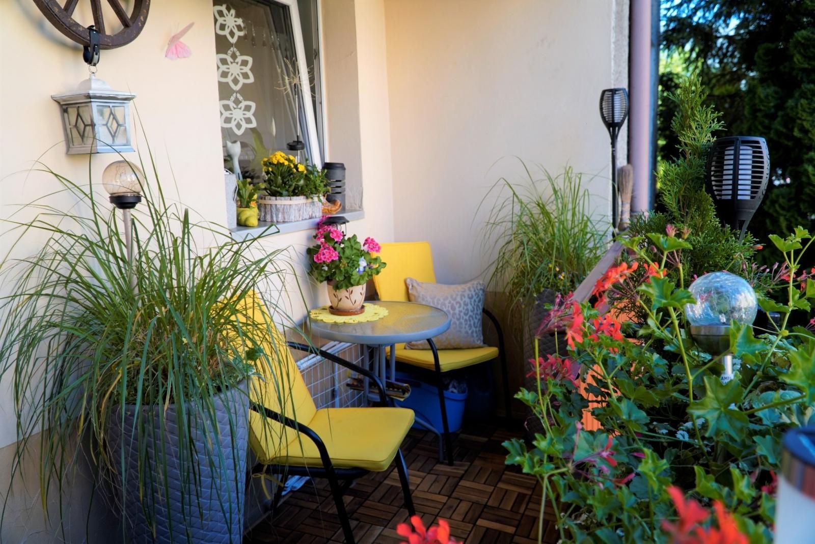 Zdjęcie w galerii na portalu naszraciborz.pl: Zielono mi. Wybrano najpiękniejsze balkony w Raciborzu wiadomości z regionu