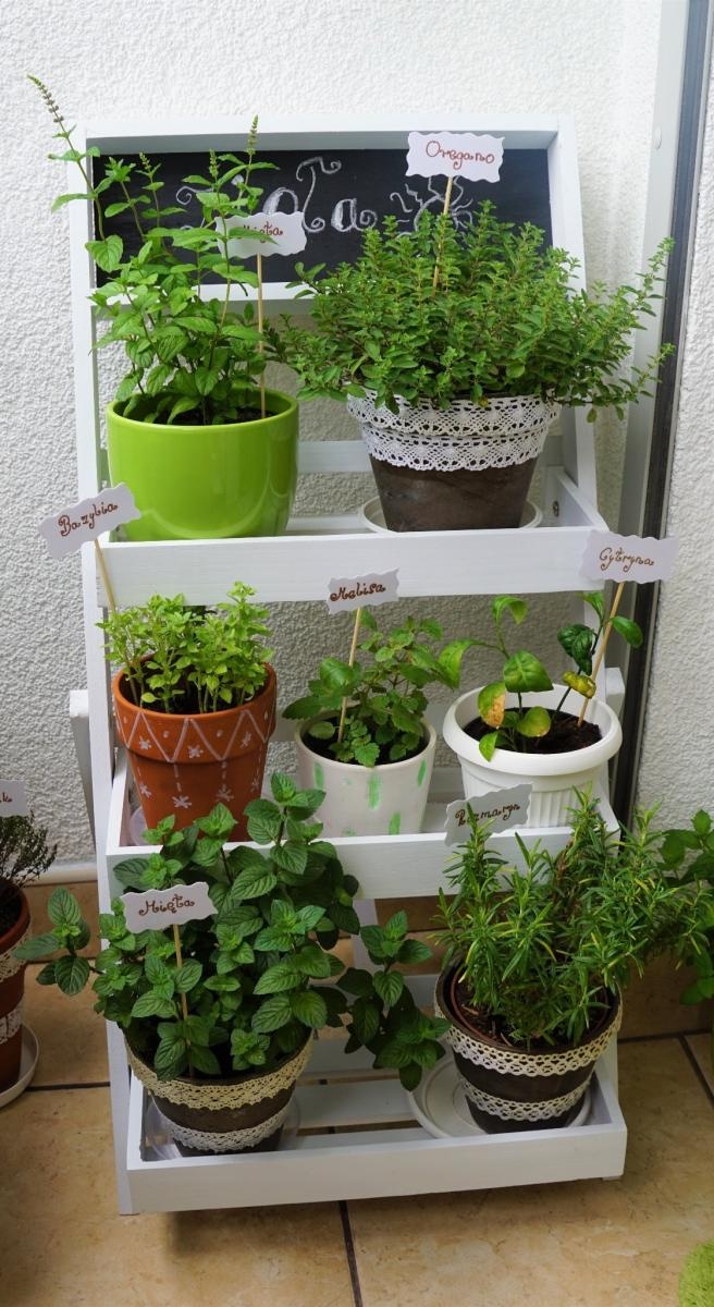 Zdjęcie w galerii na portalu naszraciborz.pl: Zielono mi. Wybrano najpiękniejsze balkony w Raciborzu wiadomości z regionu