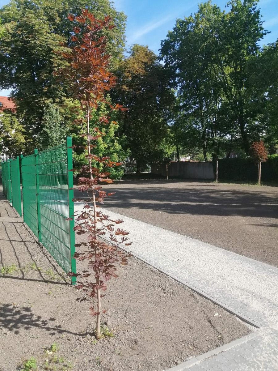 Zdjęcie w galerii na portalu naszraciborz.pl: Otwarty ogród - zielona oaza spotkań, nauki, sztuki i relaksu w I LO wiadomości z regionu