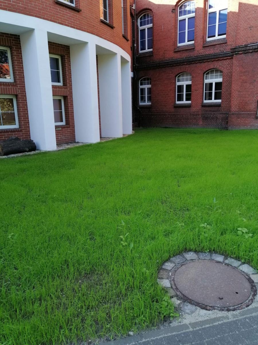 Zdjęcie w galerii na portalu naszraciborz.pl: Otwarty ogród - zielona oaza spotkań, nauki, sztuki i relaksu w I LO wiadomości z regionu