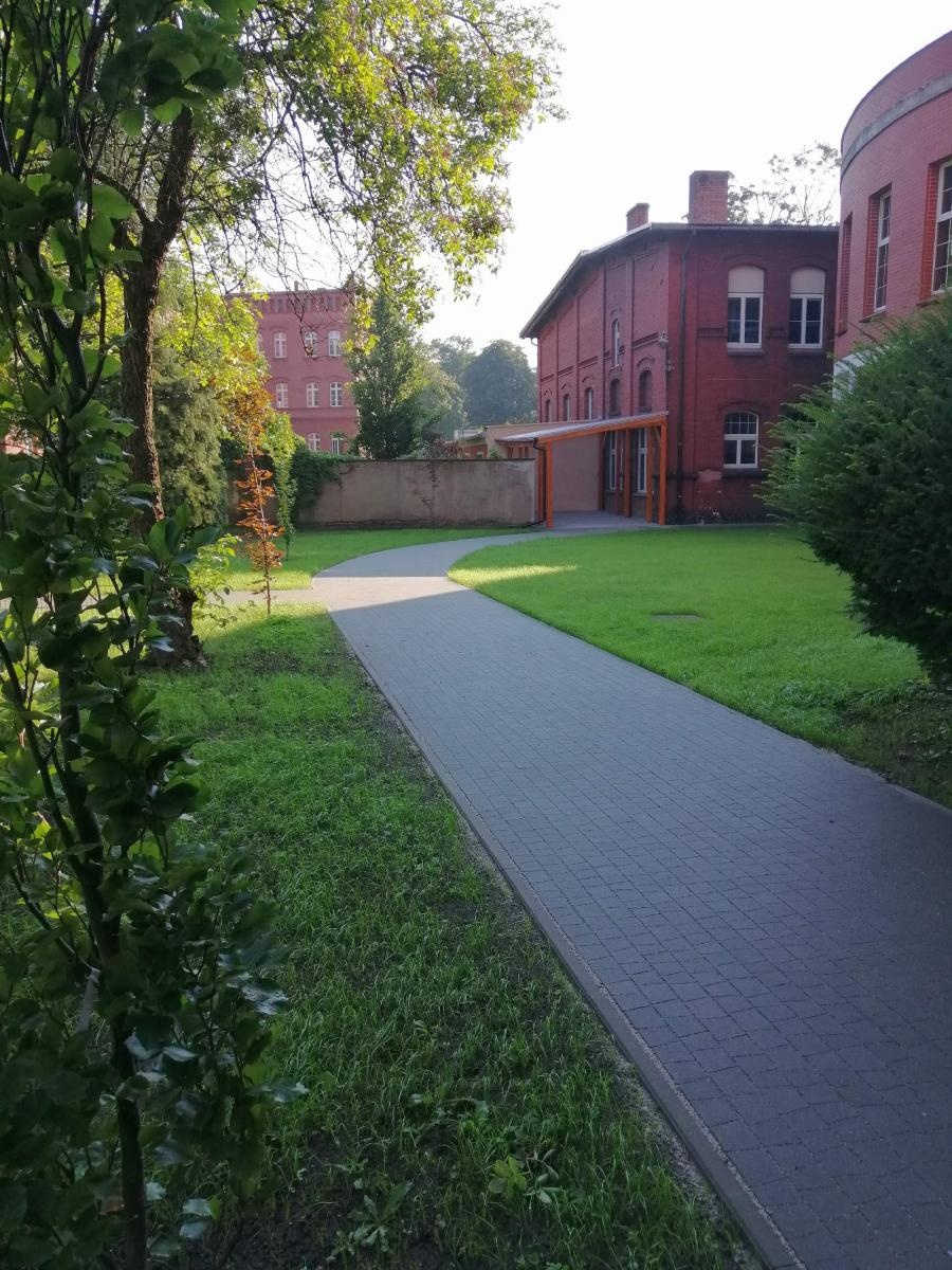 Zdjęcie w galerii na portalu naszraciborz.pl: Otwarty ogród - zielona oaza spotkań, nauki, sztuki i relaksu w I LO wiadomości z regionu