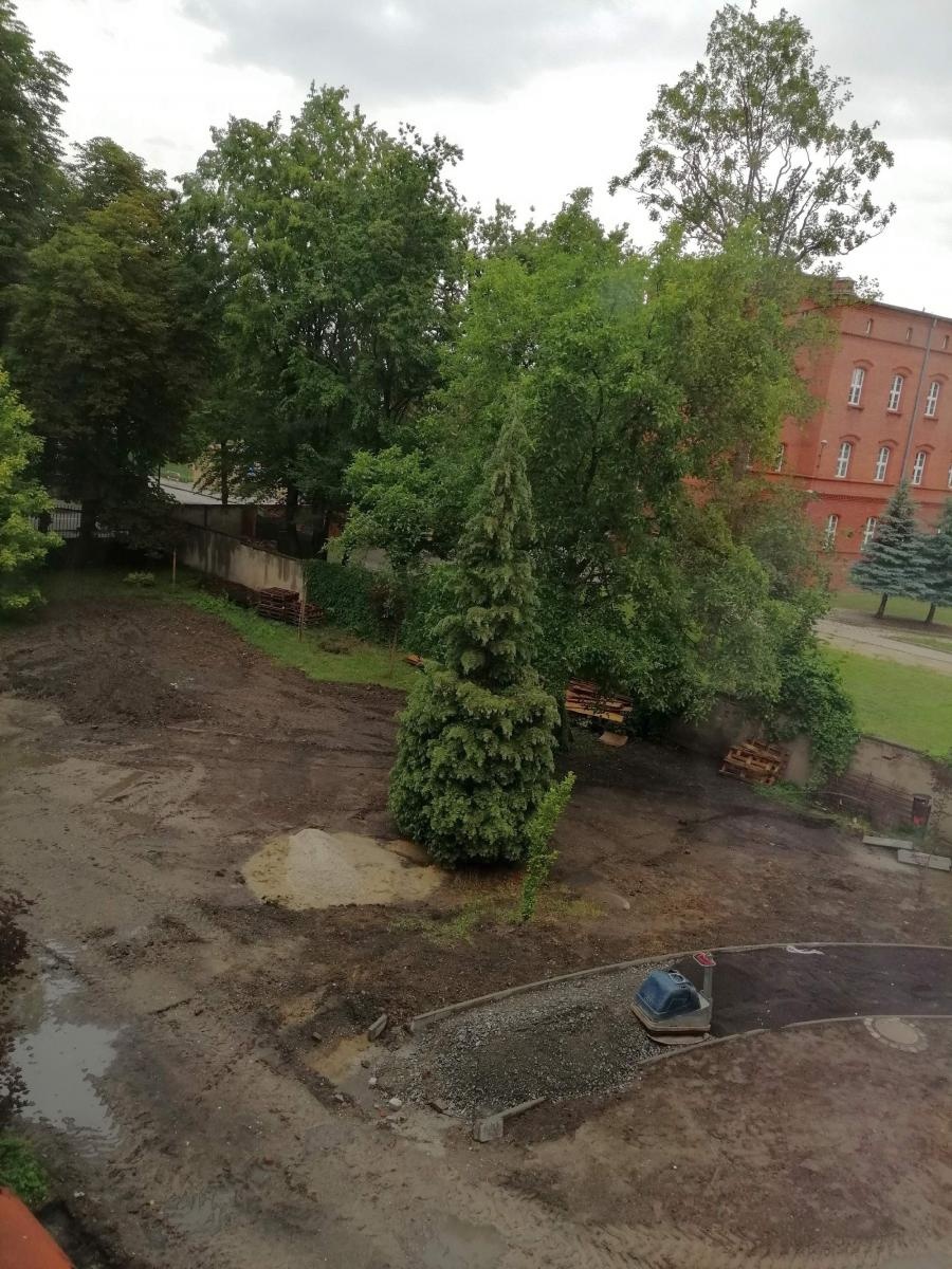 Zdjęcie w galerii na portalu naszraciborz.pl: Otwarty ogród - zielona oaza spotkań, nauki, sztuki i relaksu w I LO wiadomości z regionu