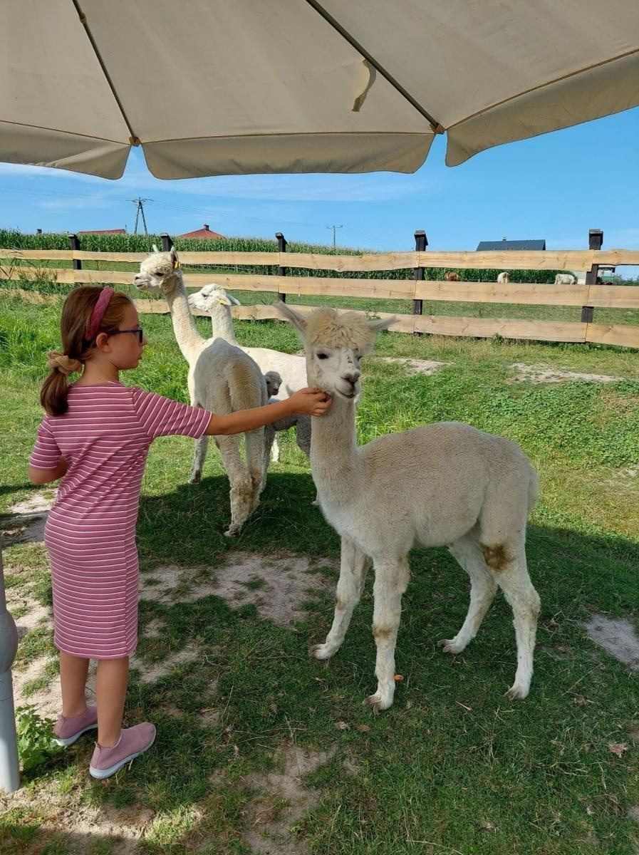 Zdjęcie w galerii na portalu naszraciborz.pl: Wakacyjna podróż po świecie bajkowych postaci wiadomości z regionu