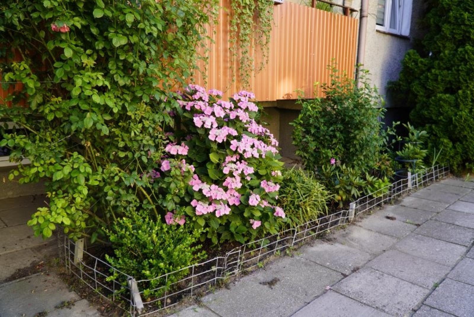 Zdjęcie w galerii na portalu naszraciborz.pl: Przy blokach też mogą być piękne ogrody wiadomości z regionu