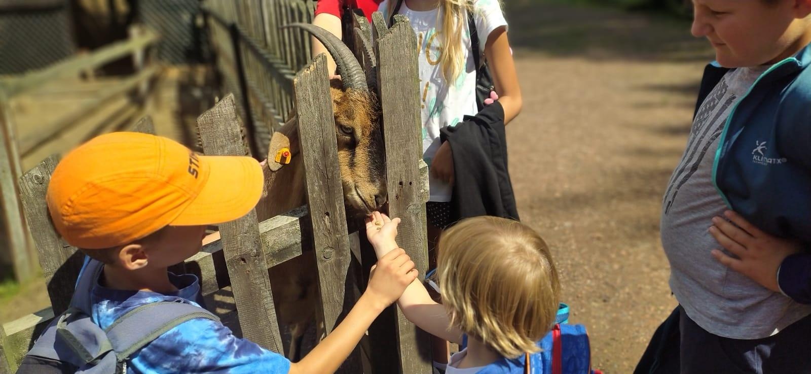 Zdjęcie w galerii na portalu naszraciborz.pl: Na dworze w Oborze. RCK podsumowało wakacyjne zajęcia wiadomości z regionu