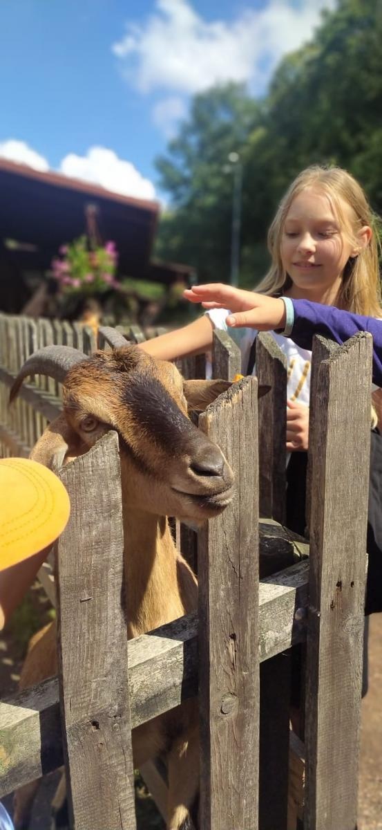 Zdjęcie w galerii na portalu naszraciborz.pl: Na dworze w Oborze. RCK podsumowało wakacyjne zajęcia wiadomości z regionu