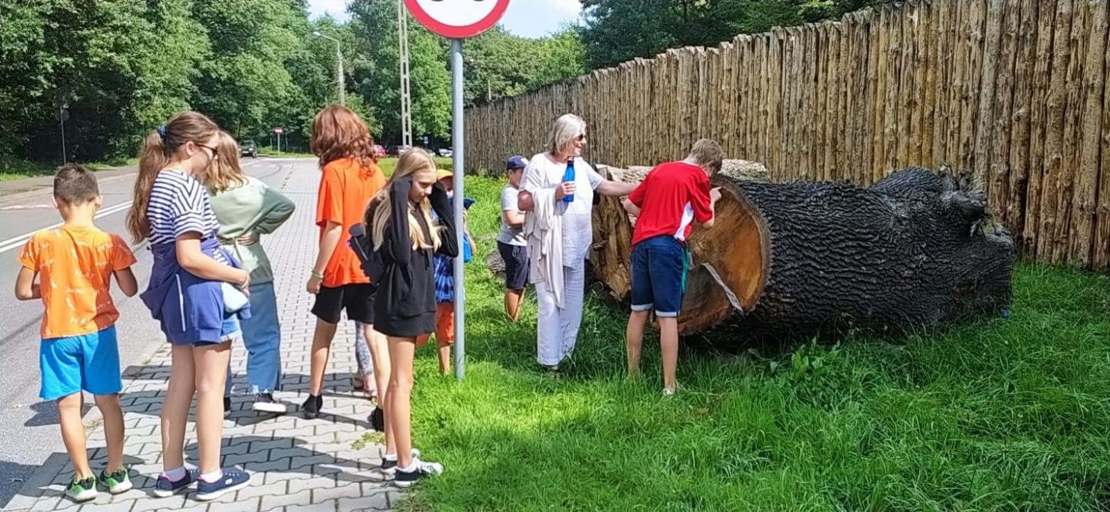 Zdjęcie w galerii na portalu naszraciborz.pl: Na dworze w Oborze. RCK podsumowało wakacyjne zajęcia wiadomości z regionu