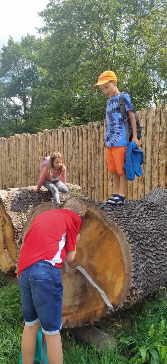 Zdjęcie w galerii na portalu naszraciborz.pl: Na dworze w Oborze. RCK podsumowało wakacyjne zajęcia wiadomości z regionu