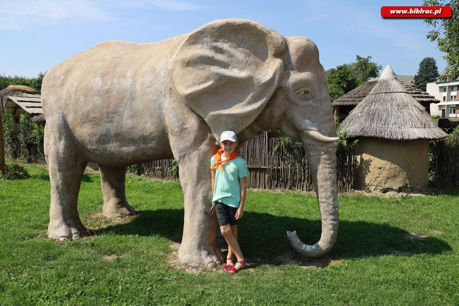 Zdjęcie w galerii na portalu naszraciborz.pl: Baśniowe Lato z Biblioteką w podróży do Wiosek Świata wiadomości z regionu