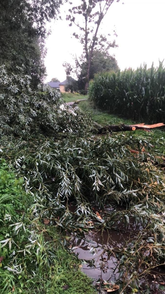 Zdjęcie w galerii na portalu naszraciborz.pl: Nawałnica nad powiatem raciborskim - zerwane dachy w gm. Kuźnia Raciborska [FOTO] wiadomości z regionu