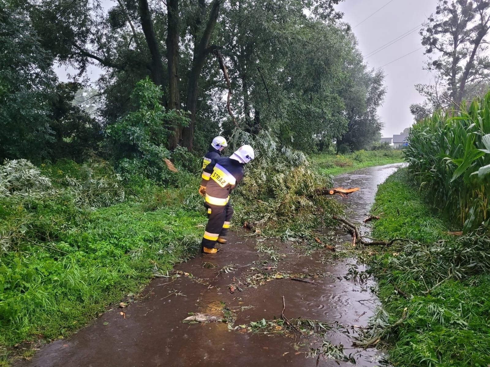 Zdjęcie w galerii na portalu naszraciborz.pl: Nawałnica nad powiatem raciborskim - zerwane dachy w gm. Kuźnia Raciborska [FOTO] wiadomości z regionu