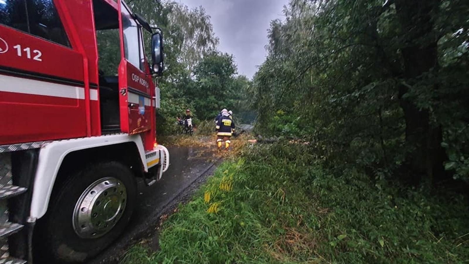 Zdjęcie w galerii na portalu naszraciborz.pl: Nawałnica nad powiatem raciborskim - zerwane dachy w gm. Kuźnia Raciborska [FOTO] wiadomości z regionu