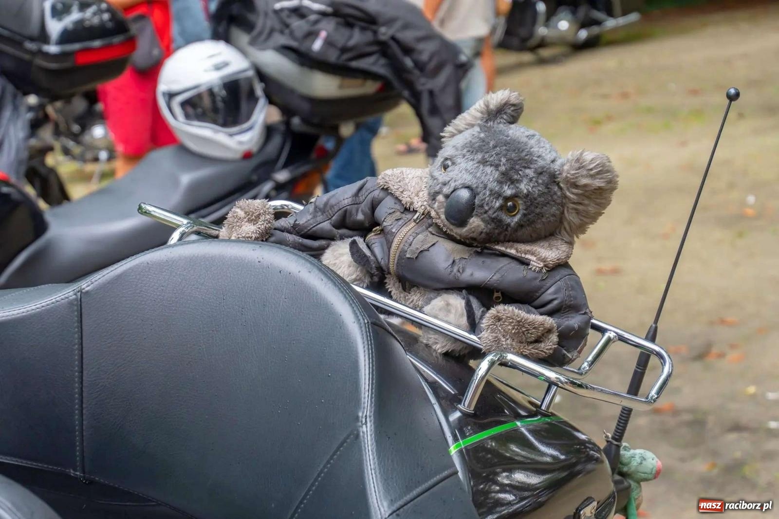 Zdjęcie w galerii na portalu naszraciborz.pl: Zamek Rock Party - ich wielkie polsko-czeskie wesele [FOTO i WIDEO] wiadomości z regionu