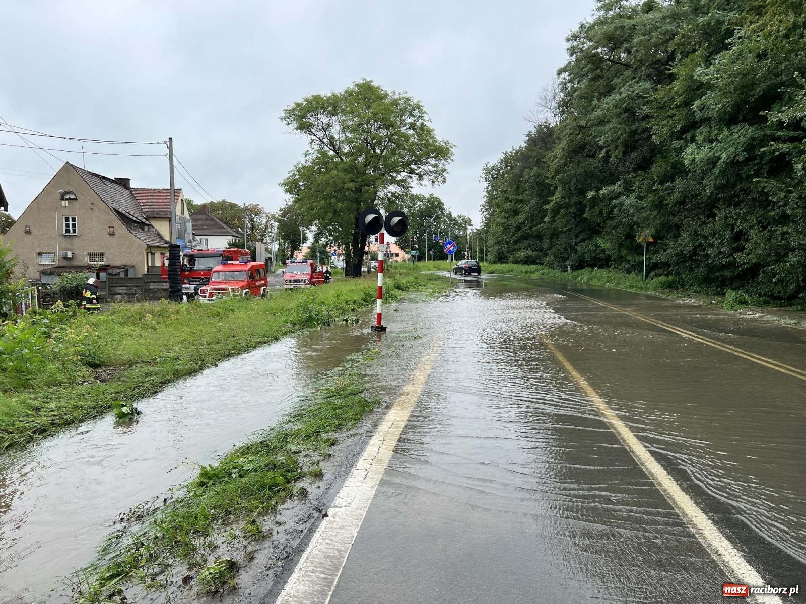 Zdjęcie w galerii na portalu naszraciborz.pl: Przy Brzeskiej w Raciborzu woda zalała domy wiadomości z regionu