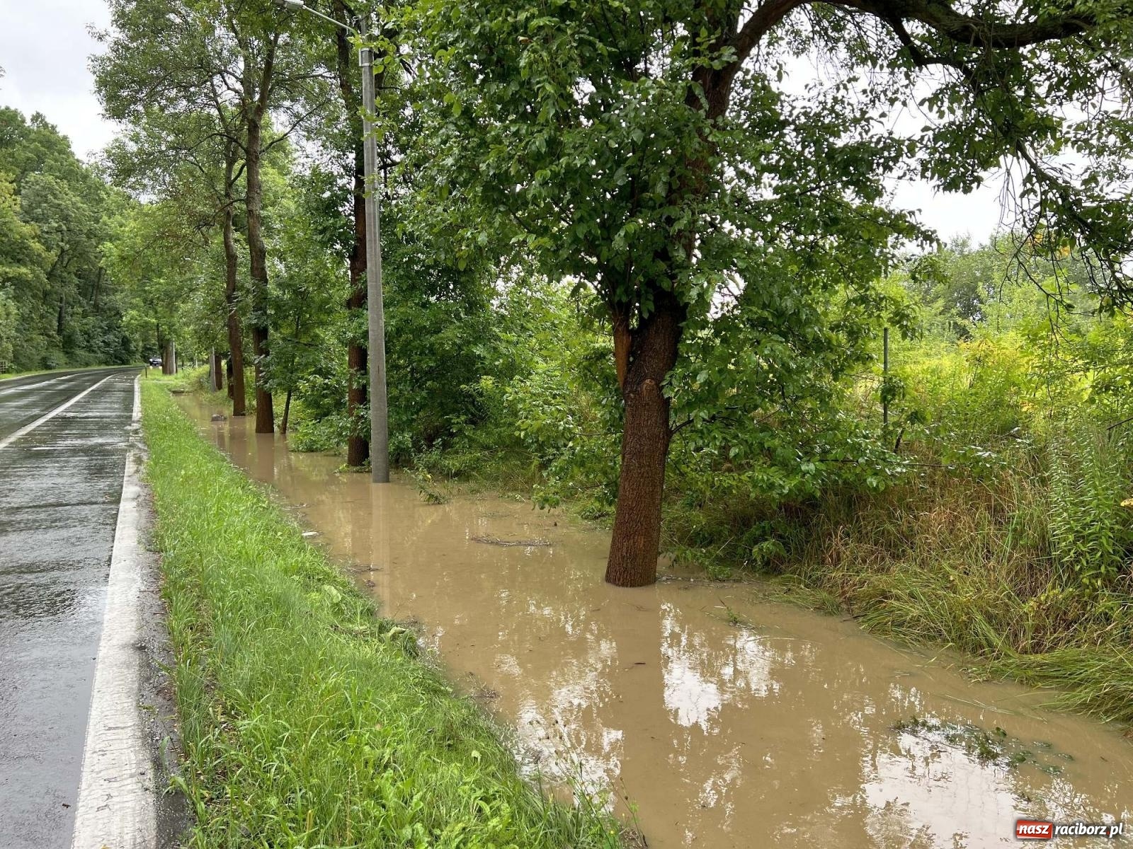 Zdjęcie w galerii na portalu naszraciborz.pl: Przy Brzeskiej w Raciborzu woda zalała domy wiadomości z regionu