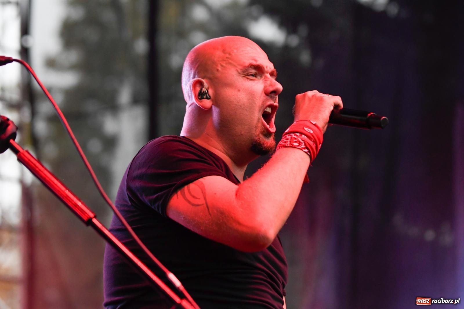 Zdjęcie w galerii na portalu naszraciborz.pl: Memoriał 2022. Łydka Grubasa, Adelajda i dobra zabawa przed sceną wiadomości z regionu