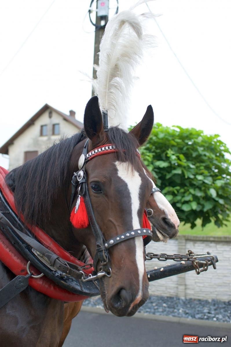 Zdjęcie w galerii na portalu naszraciborz.pl: Dożynki 2022 w Roszkowie. Strażacy wolontariusze i płeć piękna [FOTO i WIDEO] wiadomości z regionu