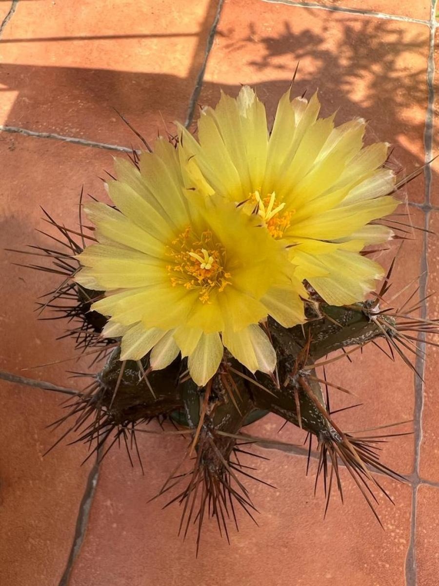 Zdjęcie w galerii na portalu naszraciborz.pl: Kolejne warsztaty z RCK za nami [FOTO] wiadomości z regionu