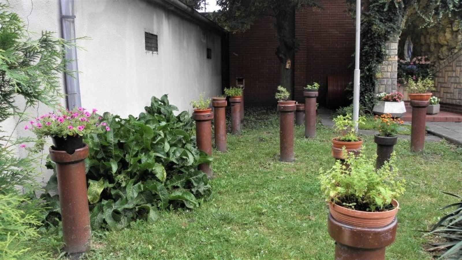 Zdjęcie w galerii na portalu naszraciborz.pl: Zielono Mi. Najpiękniejsze raciborskie ogrody w miejscu pracy wiadomości z regionu