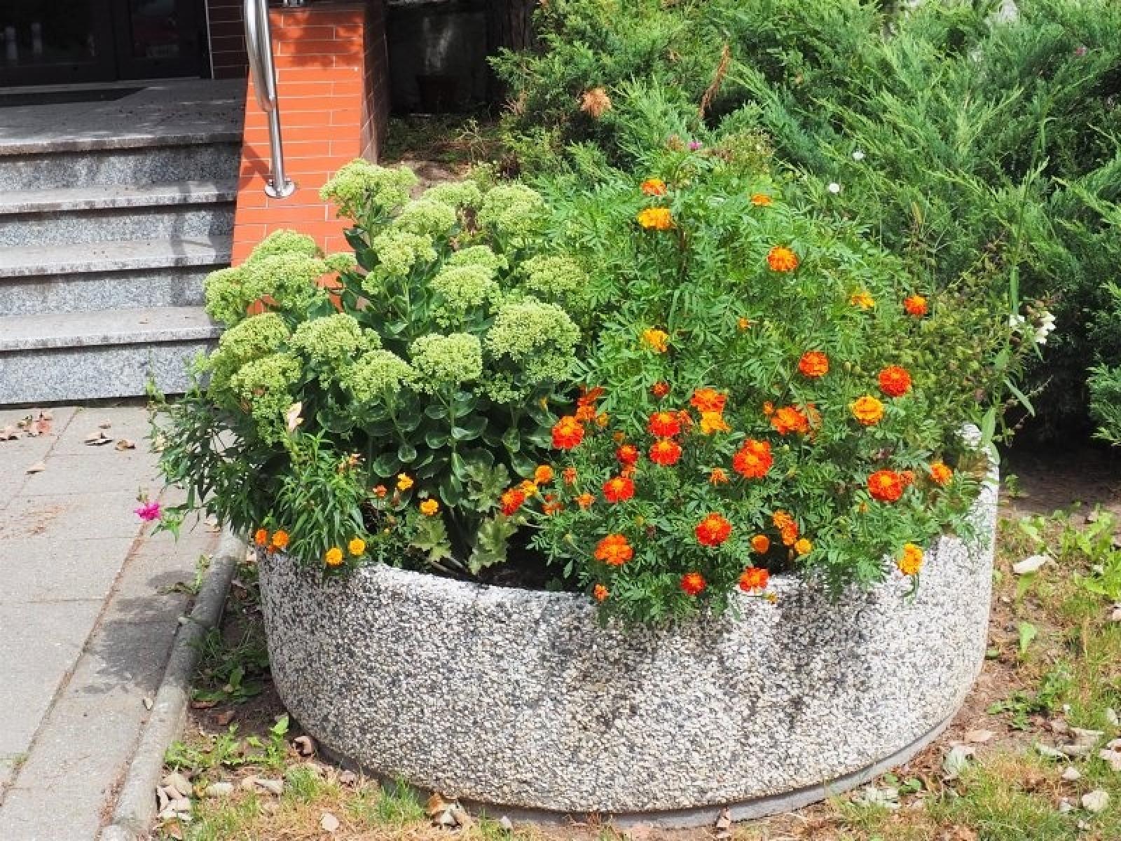 Zdjęcie w galerii na portalu naszraciborz.pl: Zielono Mi. Najpiękniejsze raciborskie ogrody w miejscu pracy wiadomości z regionu