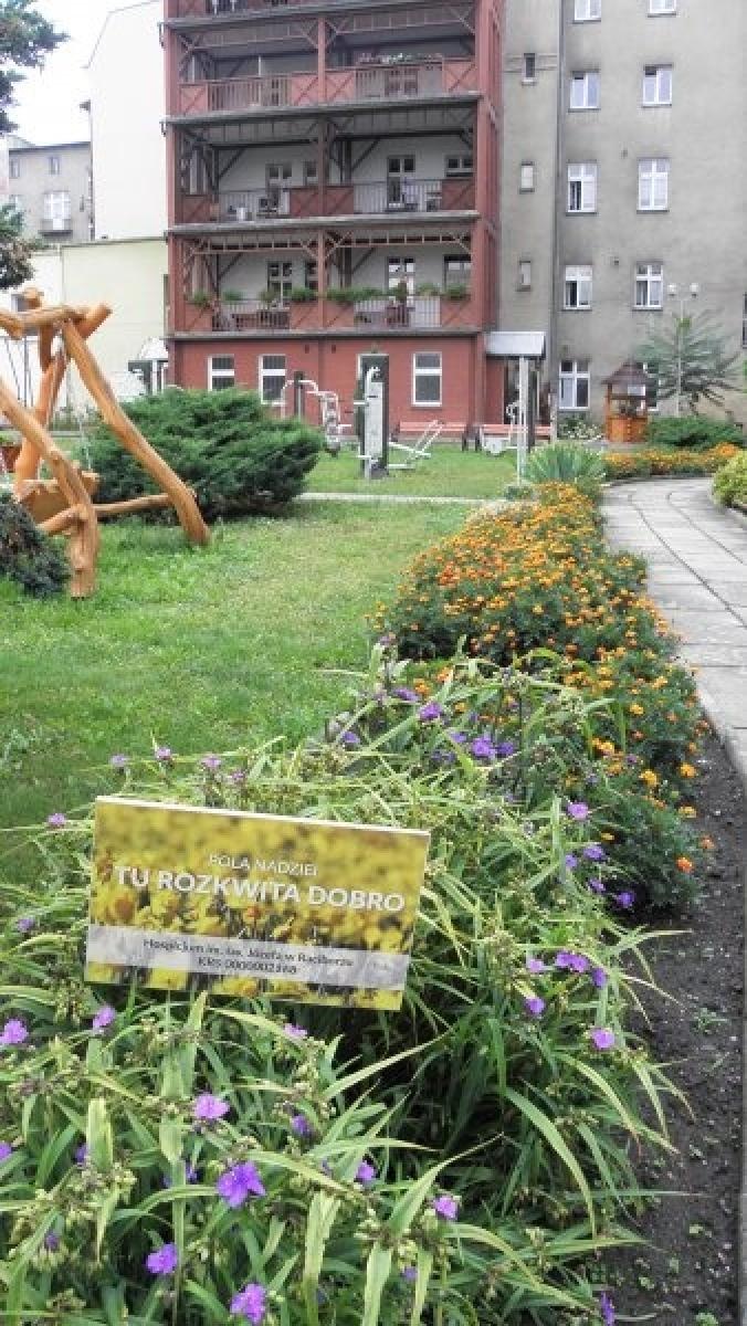 Zdjęcie w galerii na portalu naszraciborz.pl: Zielono Mi. Najpiękniejsze raciborskie ogrody w miejscu pracy wiadomości z regionu