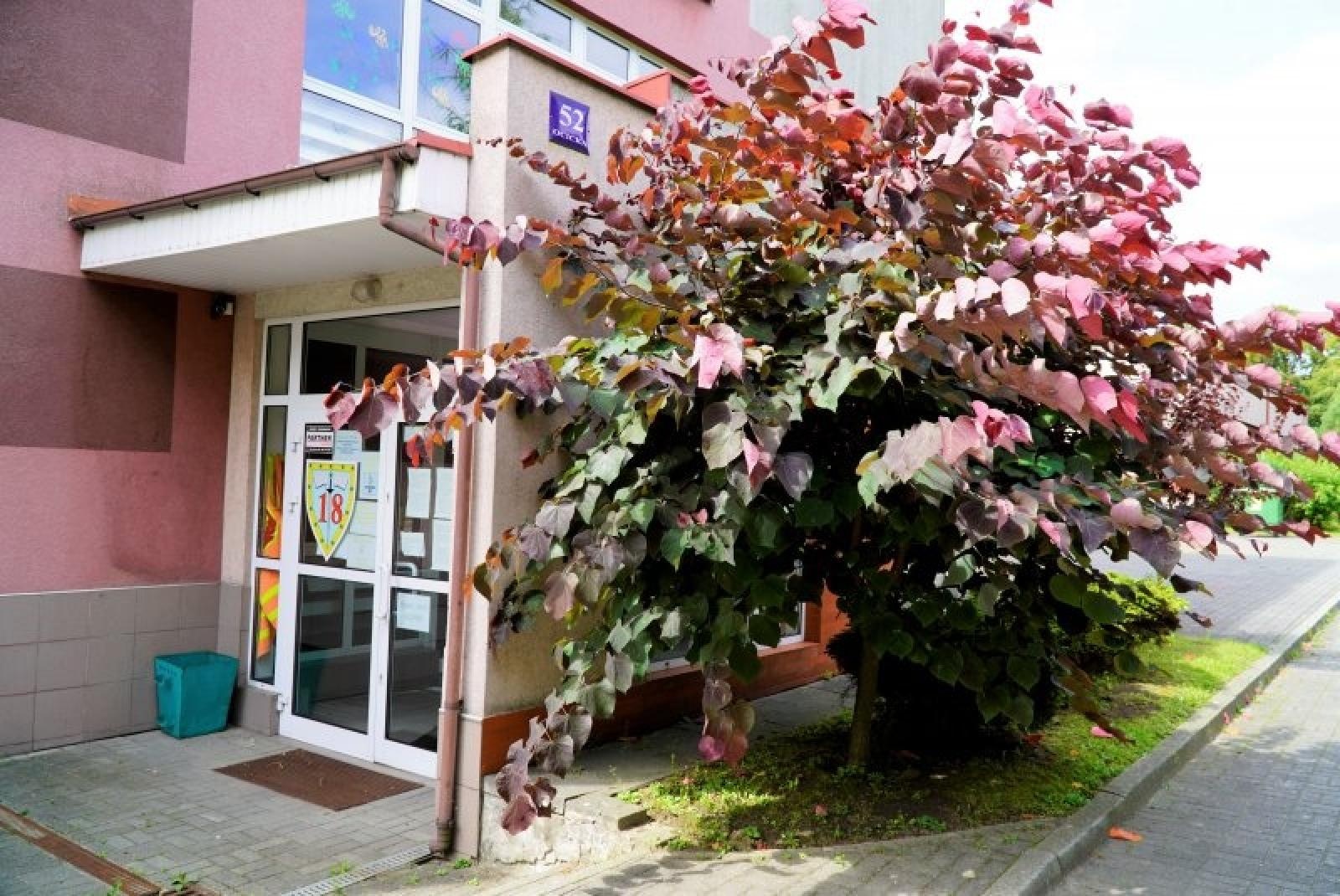 Zdjęcie w galerii na portalu naszraciborz.pl: Zielono Mi. Najpiękniejsze raciborskie ogrody w miejscu pracy wiadomości z regionu