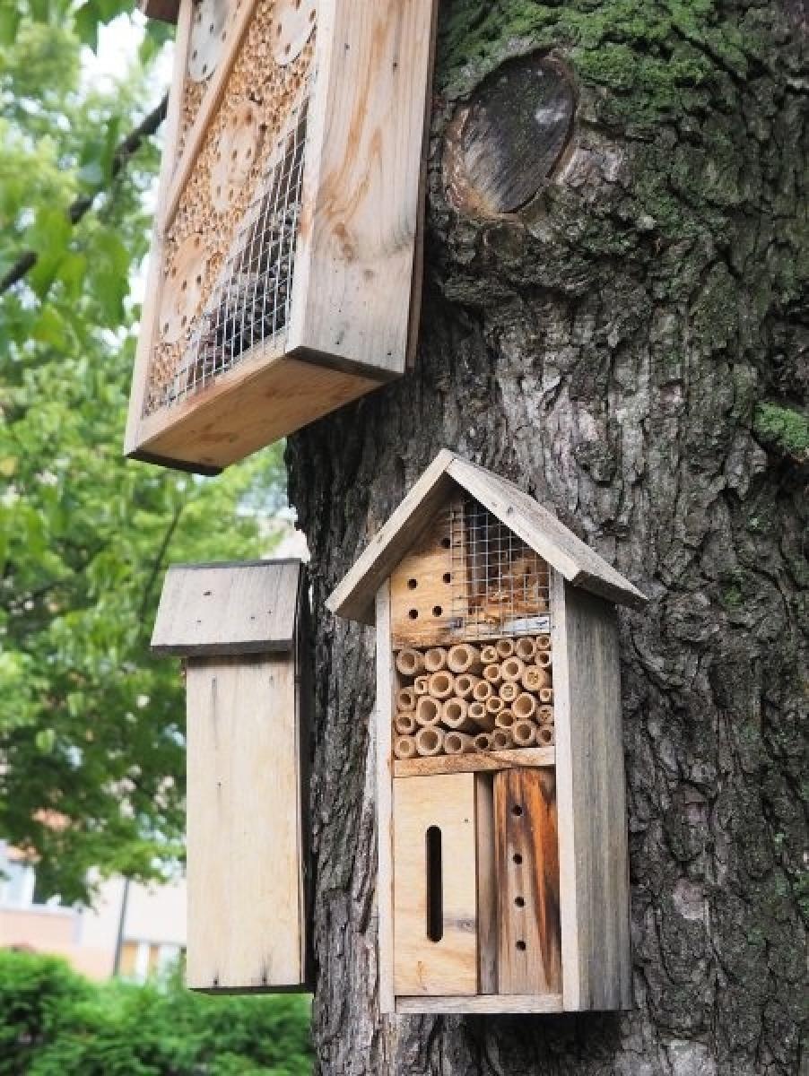 Zdjęcie w galerii na portalu naszraciborz.pl: Zielono Mi. Najpiękniejsze raciborskie ogrody w miejscu pracy wiadomości z regionu