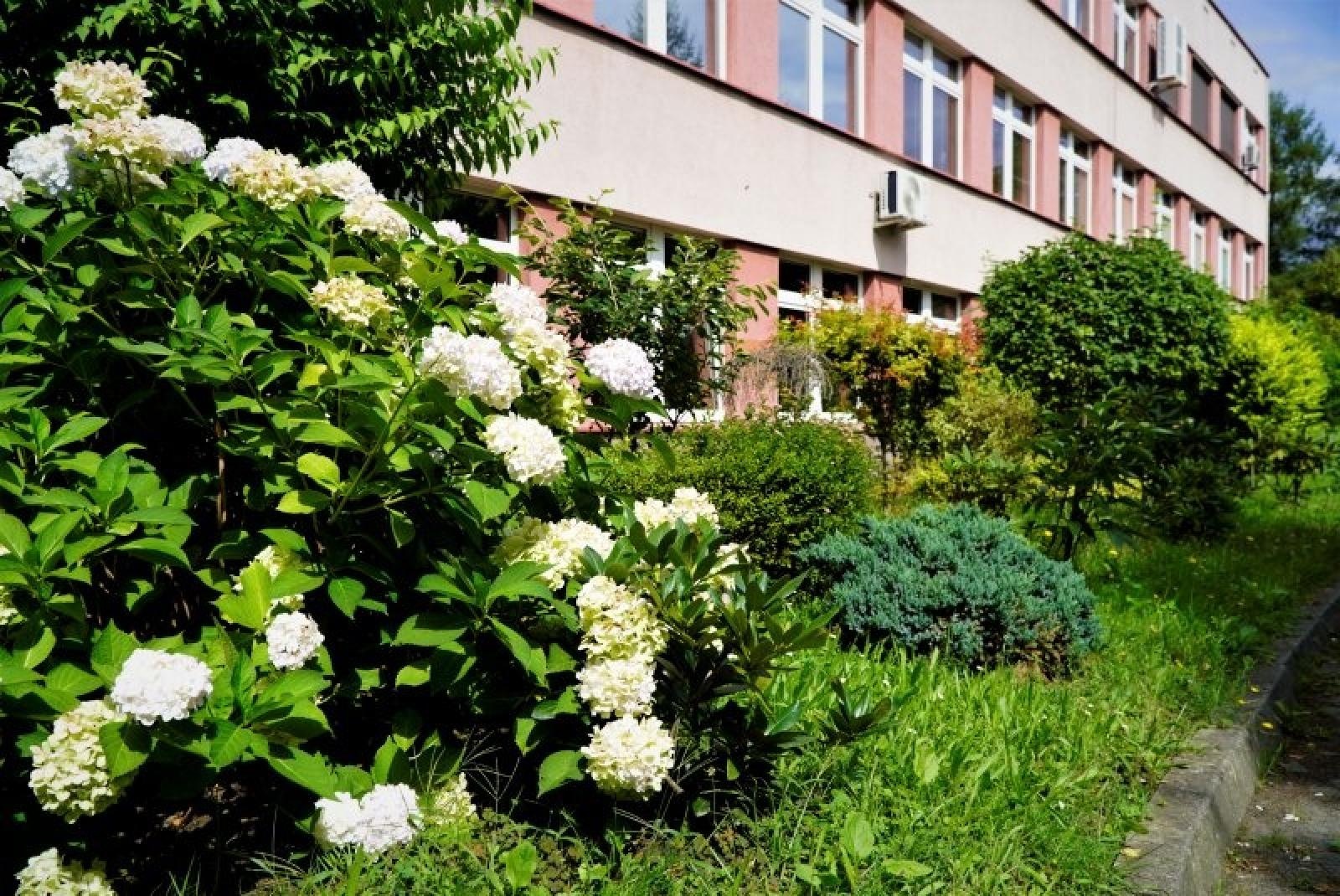 Zdjęcie w galerii na portalu naszraciborz.pl: Zielono Mi. Najpiękniejsze raciborskie ogrody w miejscu pracy wiadomości z regionu