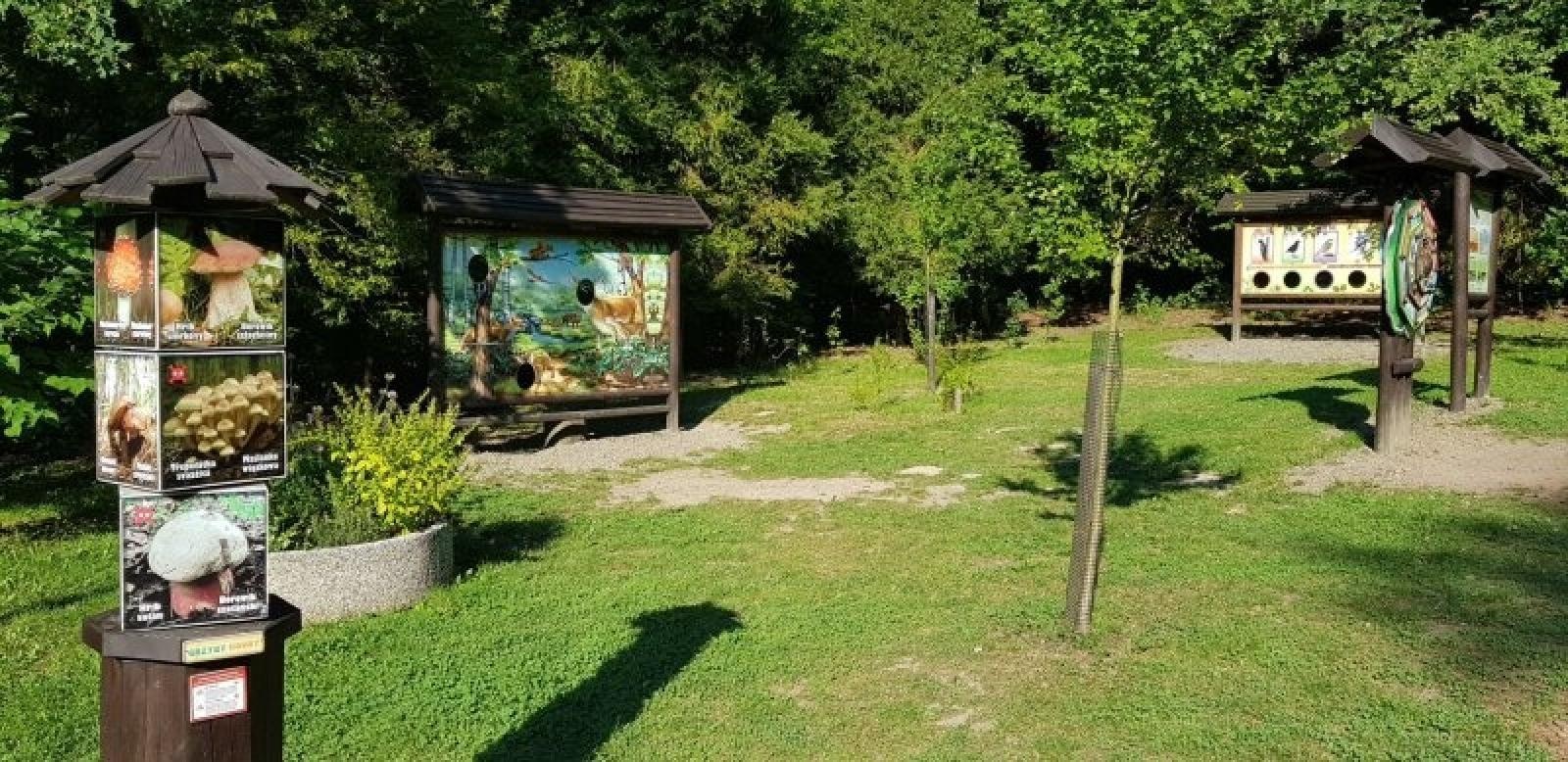 Zdjęcie w galerii na portalu naszraciborz.pl: Racibórz gościł przedstawicieli miast w ramach Sieci Miast Zielonych wiadomości z regionu