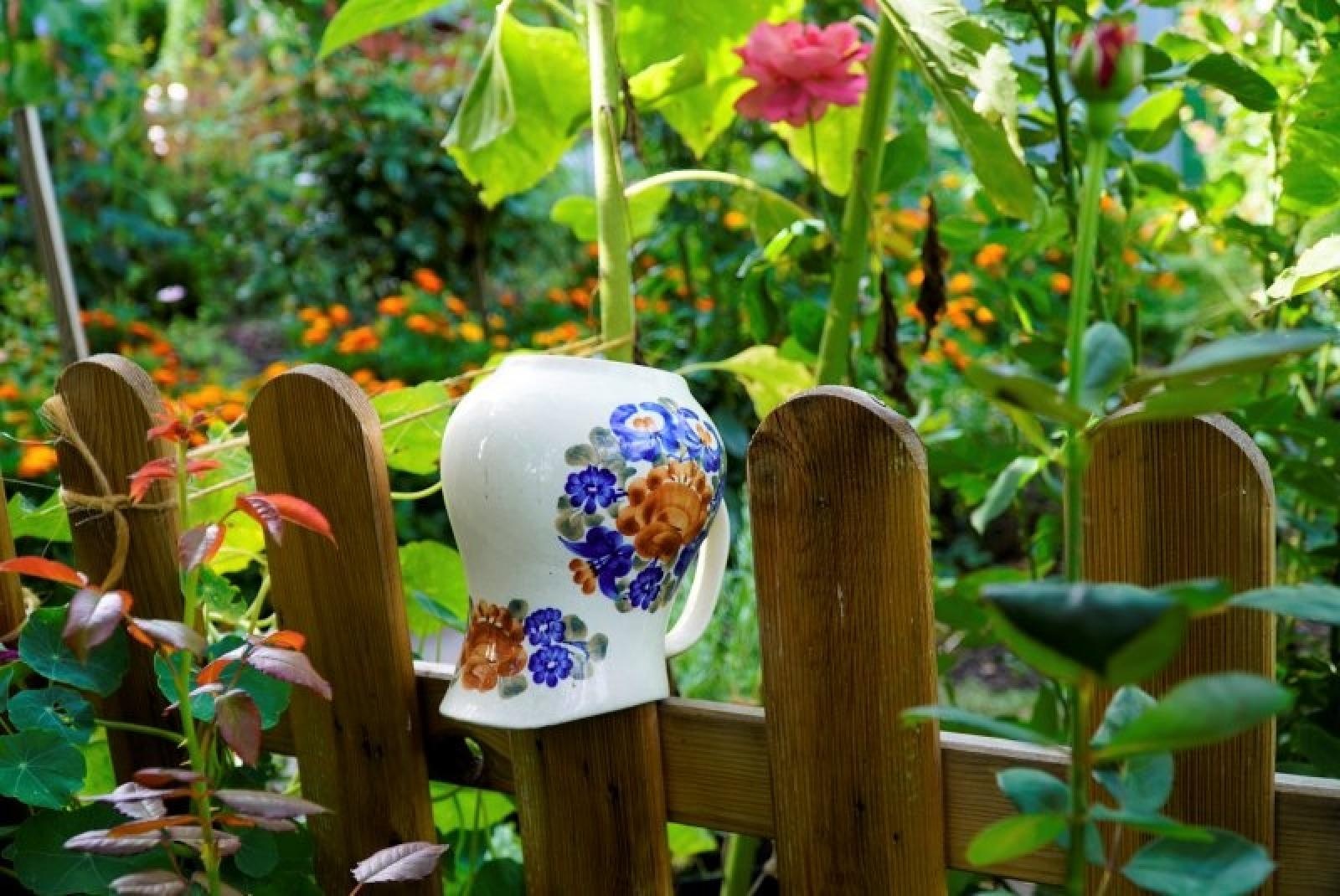 Zdjęcie w galerii na portalu naszraciborz.pl: Zielono mi. Najładniejsze raciborskie ogrody przydomowe [FOTO] wiadomości z regionu