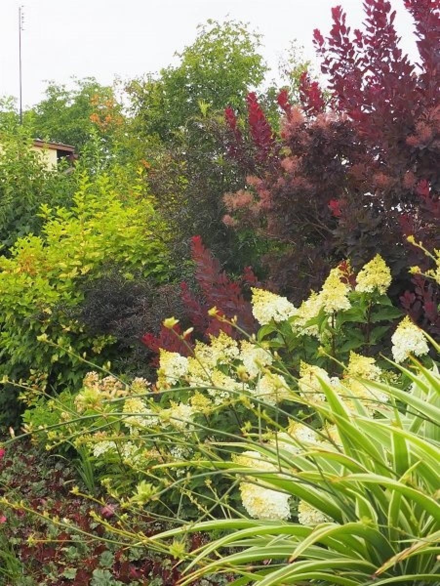 Zdjęcie w galerii na portalu naszraciborz.pl: Zielono mi. Najładniejsze raciborskie ogrody przydomowe [FOTO] wiadomości z regionu