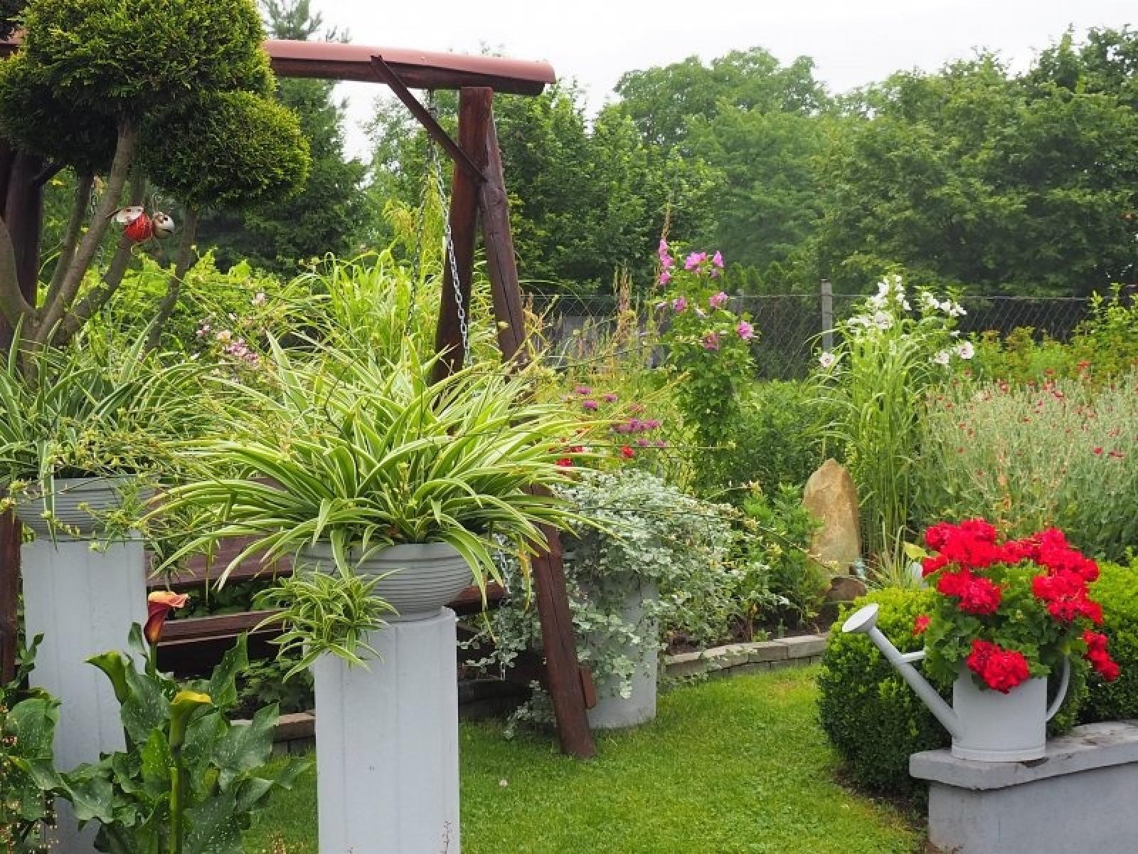 Zdjęcie w galerii na portalu naszraciborz.pl: Zielono mi. Najładniejsze raciborskie ogrody przydomowe [FOTO] wiadomości z regionu