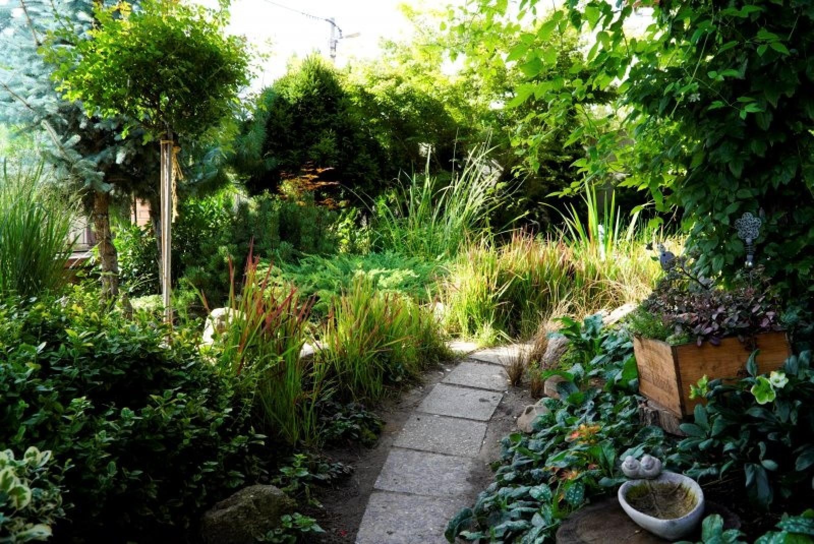 Zdjęcie w galerii na portalu naszraciborz.pl: Zielono mi. Najładniejsze raciborskie ogrody przydomowe [FOTO] wiadomości z regionu