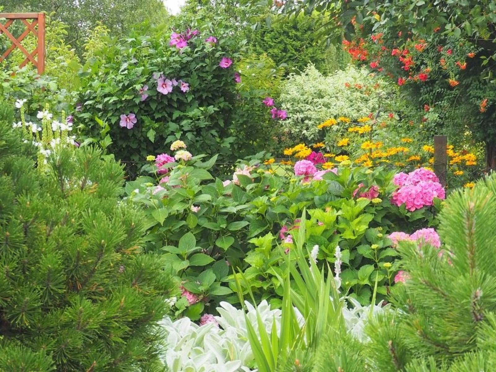 Zdjęcie w galerii na portalu naszraciborz.pl: Zielono mi. Najładniejsze raciborskie ogrody przydomowe [FOTO] wiadomości z regionu