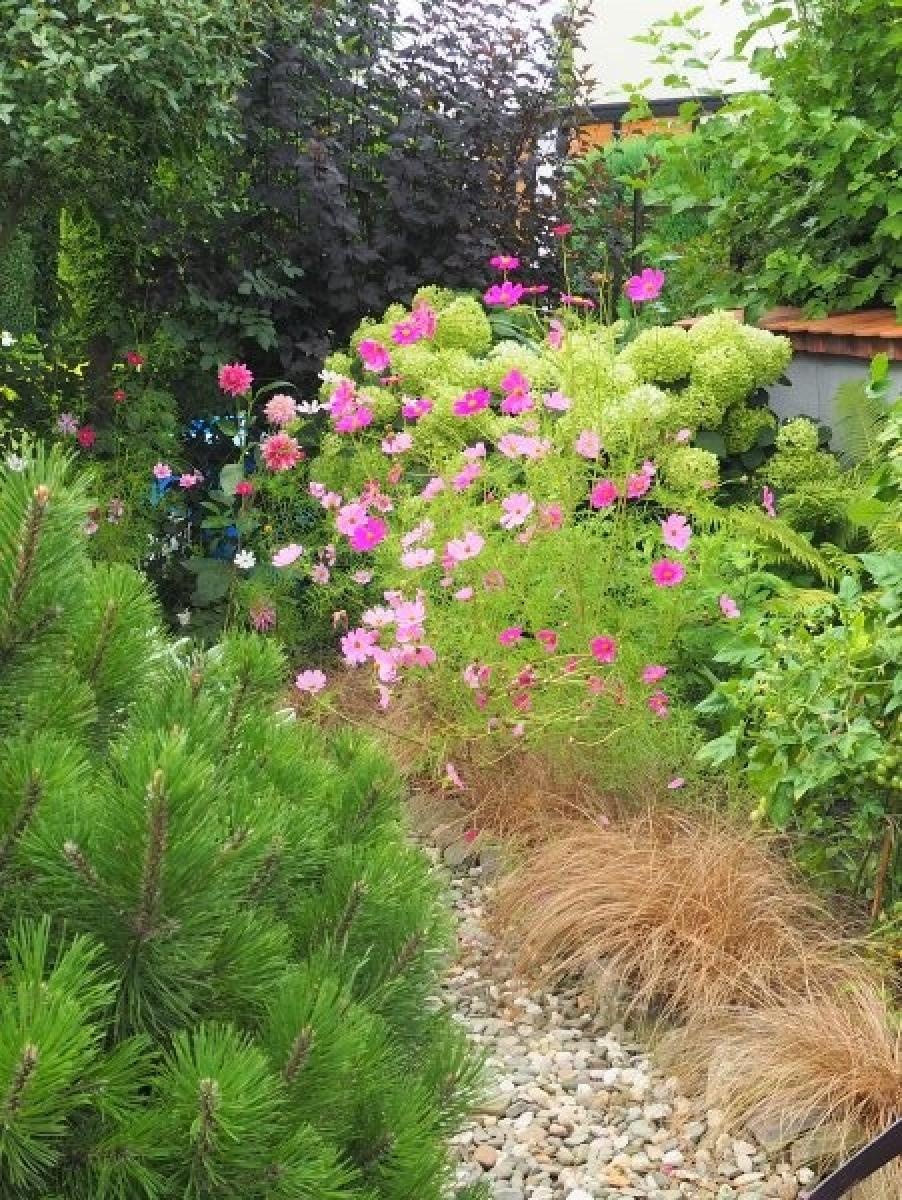 Zdjęcie w galerii na portalu naszraciborz.pl: Zielono mi. Najładniejsze raciborskie ogrody przydomowe [FOTO] wiadomości z regionu