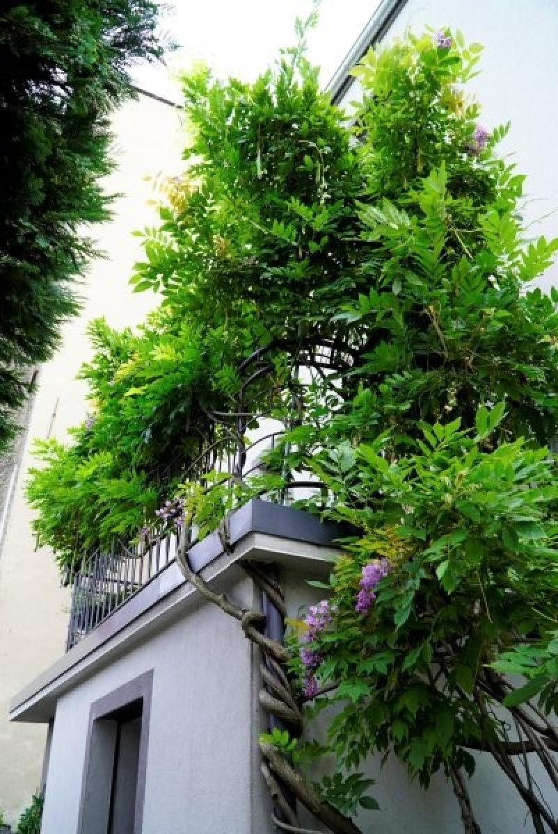 Zdjęcie w galerii na portalu naszraciborz.pl: Zielono mi. Najładniejsze raciborskie ogrody przydomowe [FOTO] wiadomości z regionu