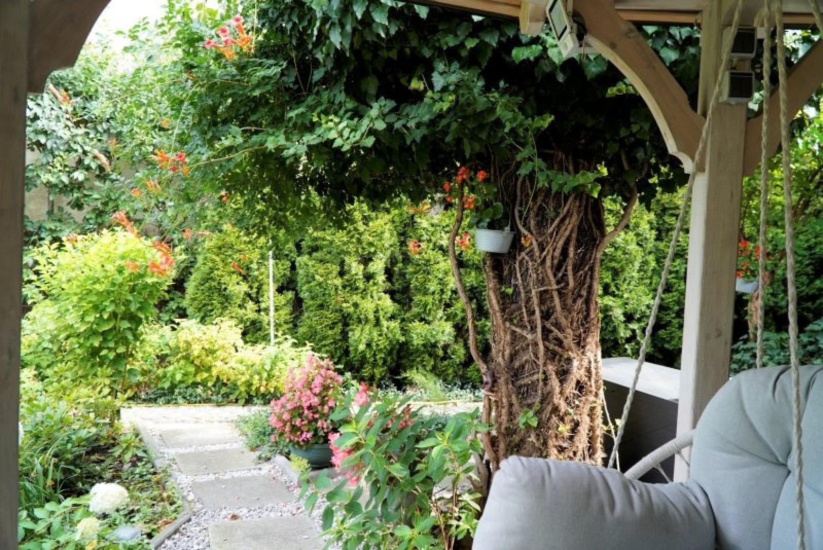 Zdjęcie w galerii na portalu naszraciborz.pl: Zielono mi. Najładniejsze raciborskie ogrody przydomowe [FOTO] wiadomości z regionu