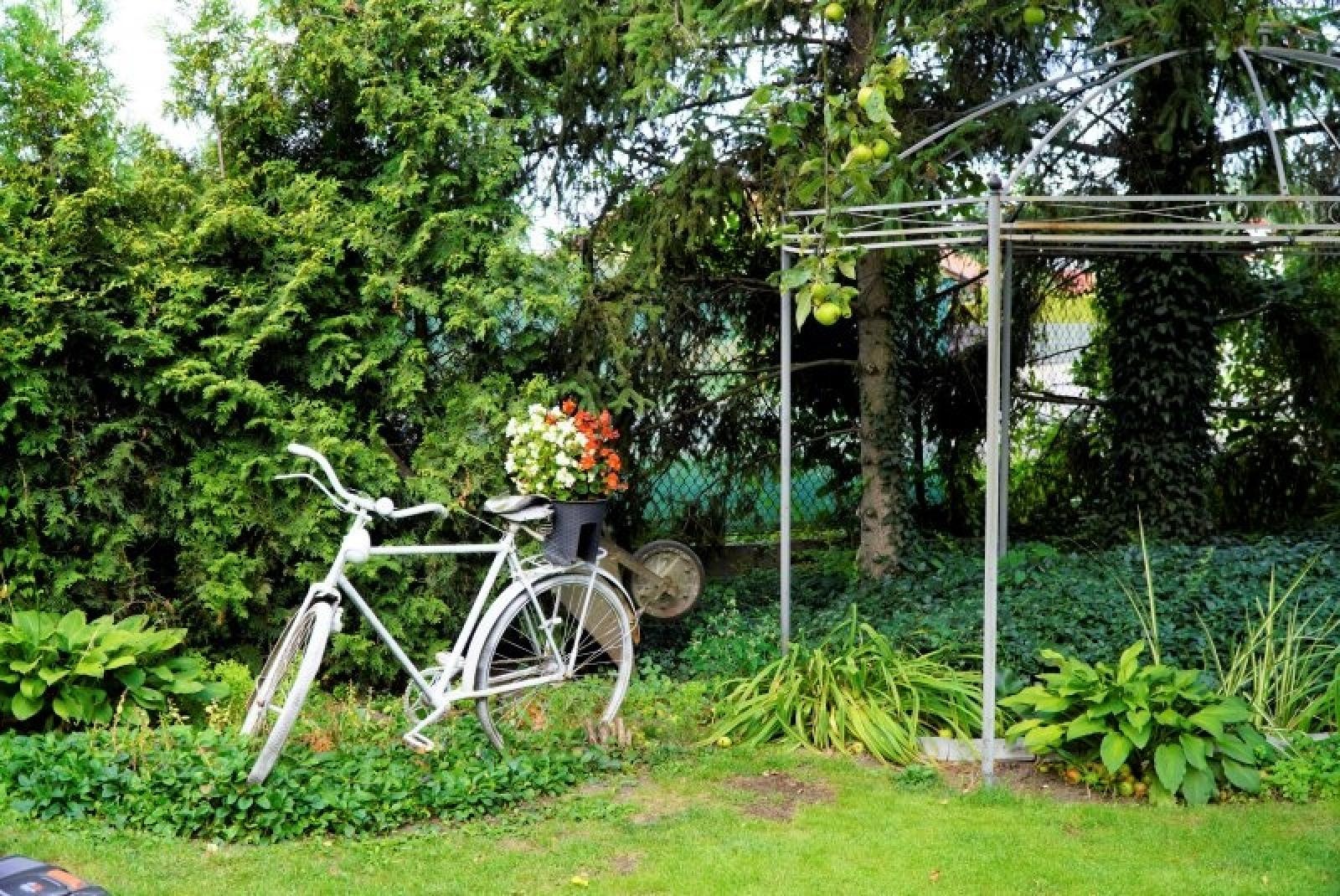 Zdjęcie w galerii na portalu naszraciborz.pl: Zielono mi. Najładniejsze raciborskie ogrody przydomowe [FOTO] wiadomości z regionu