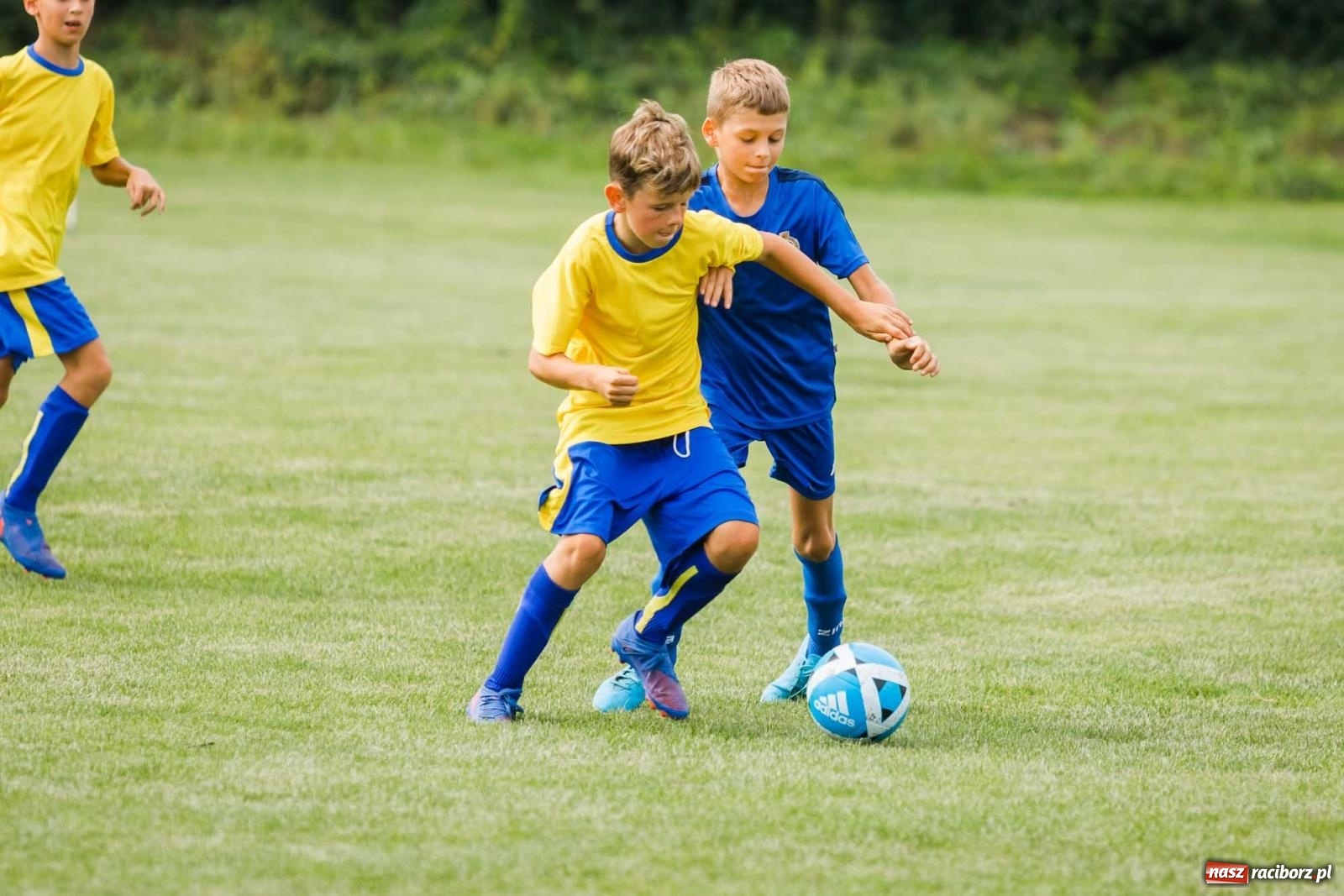 Zdjęcie w galerii na portalu naszraciborz.pl: IX edycja turnieju im. Zbigniewa Oszka za nami [FOTO] wiadomości z regionu